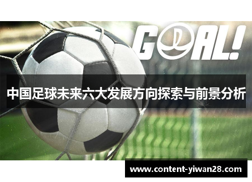 中国足球未来六大发展方向探索与前景分析