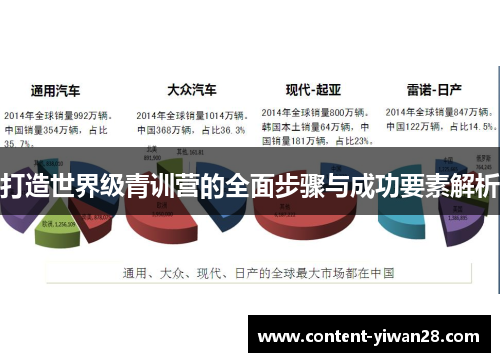 打造世界级青训营的全面步骤与成功要素解析