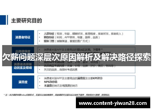 欠薪问题深层次原因解析及解决路径探索